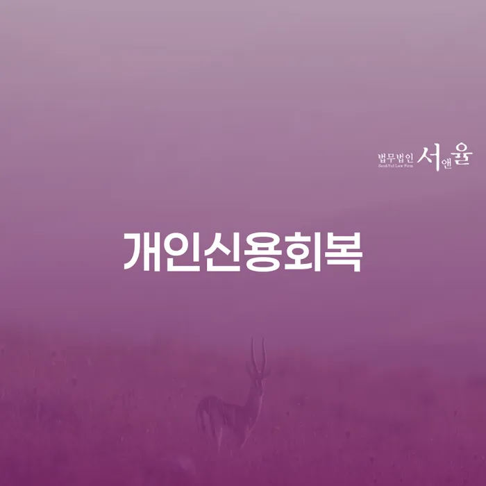 신용카드연체시 개인파산 무료로 확인하는 방법