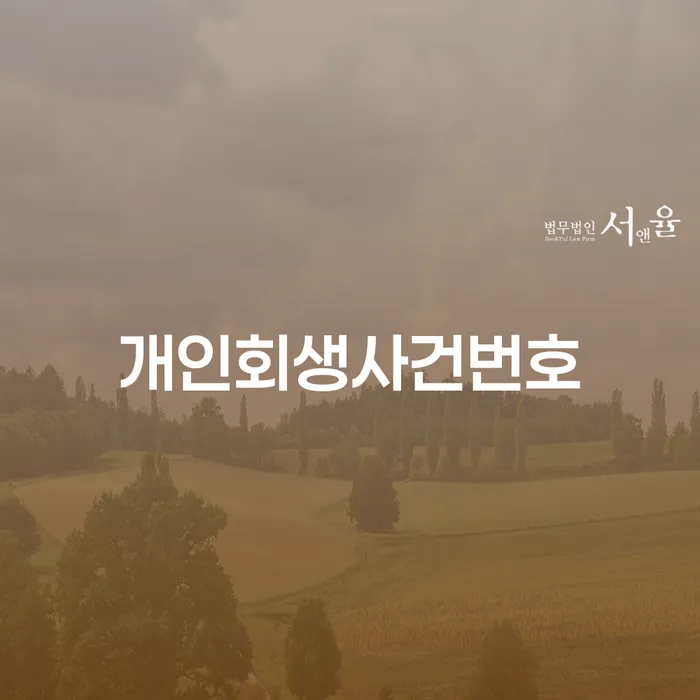 보증서대출 연체 시 대출 연체 개인회생 높아진
