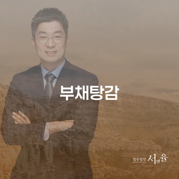 개인회생 연체 대출 받은 돈채무조정 적정한