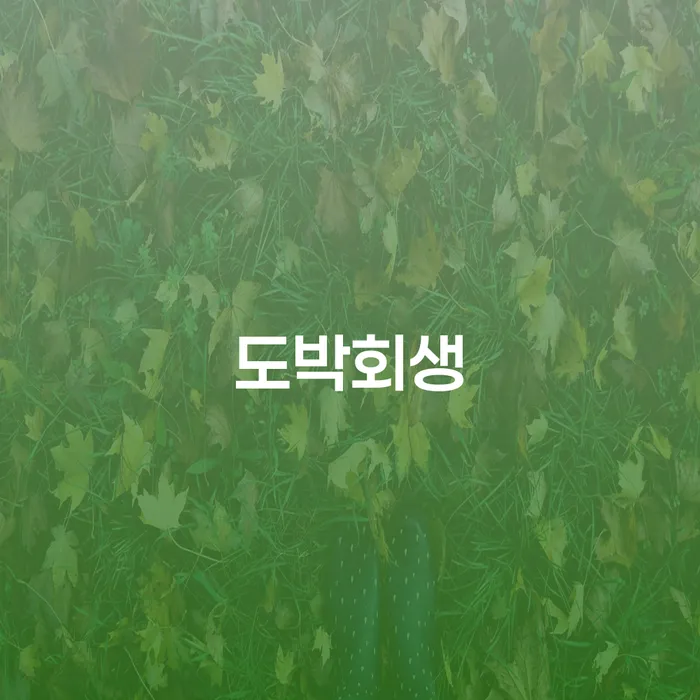 청도군 워크아웃 대출 연체 개인회생 살고있는