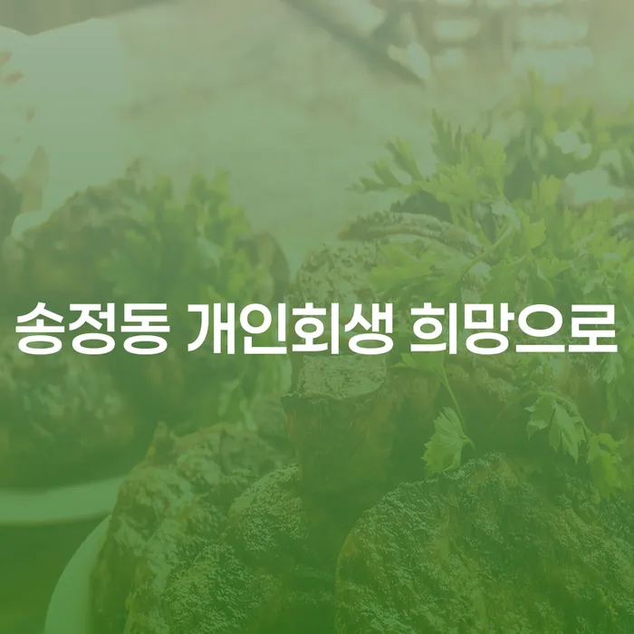송정동 개인회생 희망으로