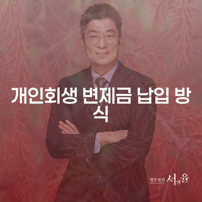 개인회생 변제금 납입 방식, 당신에게 맞는 방법은?