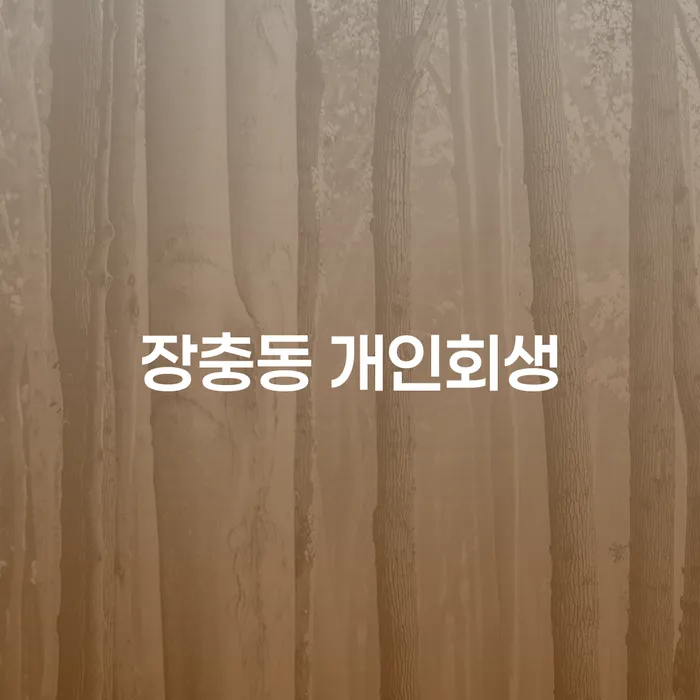 장충동 개인회생, 직업군인 이라면 꼭 알아야 할 점은?