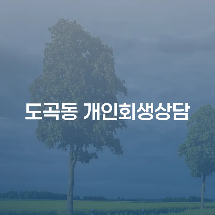 도곡동 개인회생상담: 경제적 어려움을 극복하는 방법은?