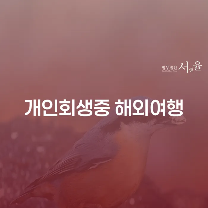 개인회생 중 해외여행, 가능한가요? - 전문가의 조언